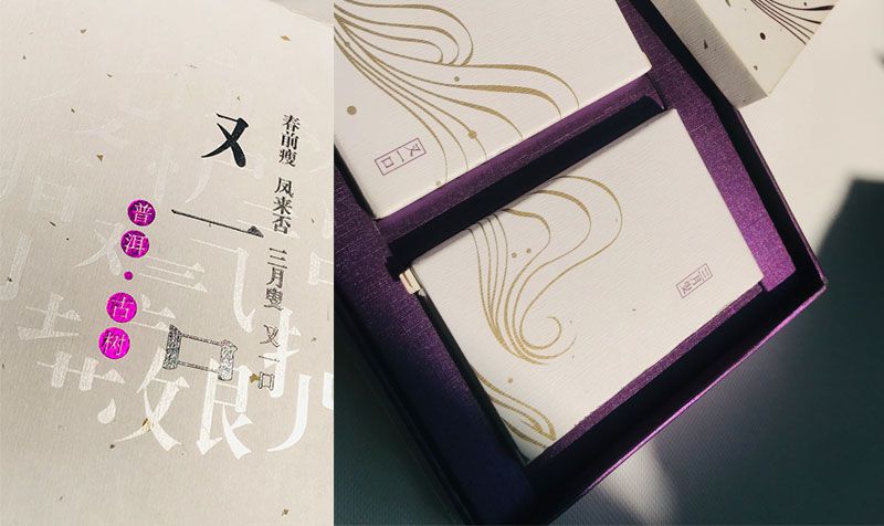 普洱-古樹茶